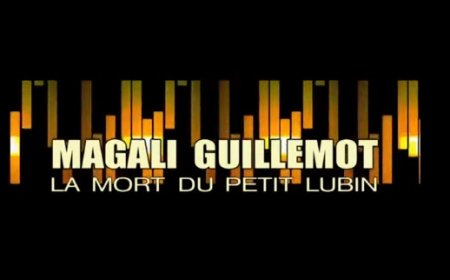 S04E04 - Magali Guillemot - L'affaire Lubin